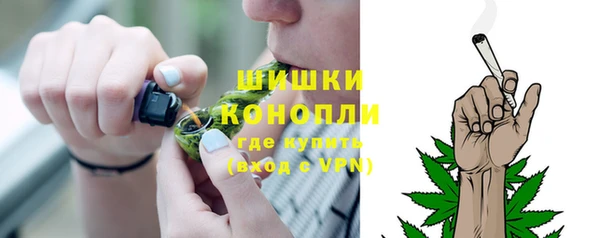 mix Богородицк