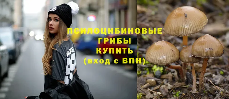 где можно купить   Верхняя Салда  Галлюциногенные грибы Cubensis 